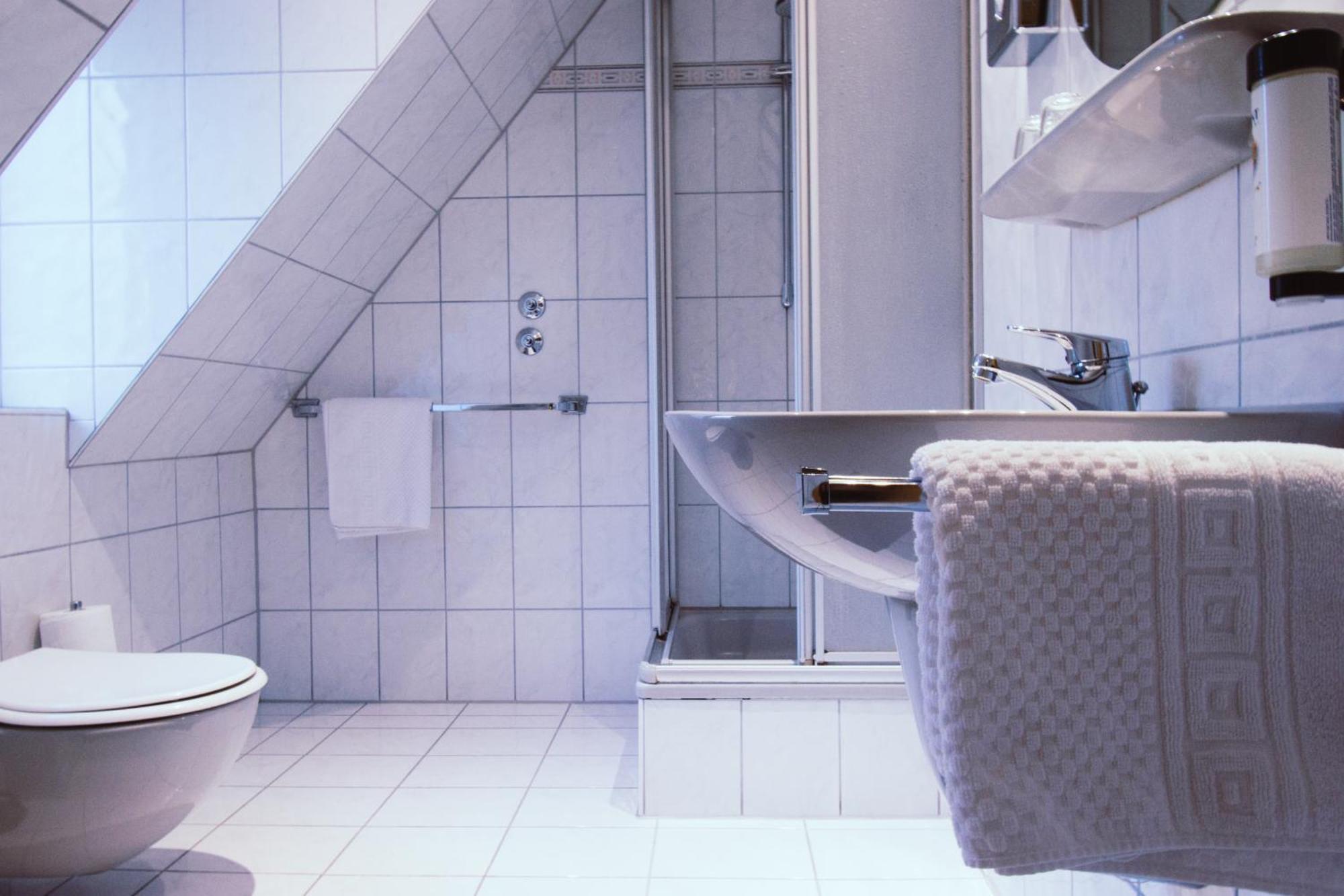 Hotel Roter Loewe Ulm Rum bild
